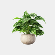Demo Product